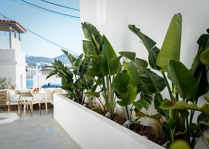 Apartment Short Lemon Tree Naxos City